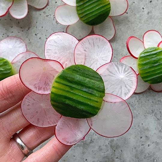 Image of Cucumber and Radish Daisy Salad
