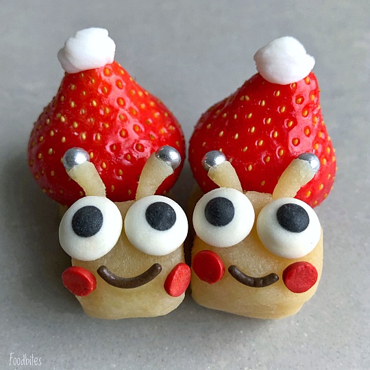 Image of Mr. and Mrs. Festive Snail