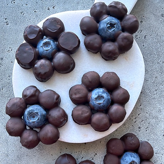 Image of Chocolate Blueberry Treats