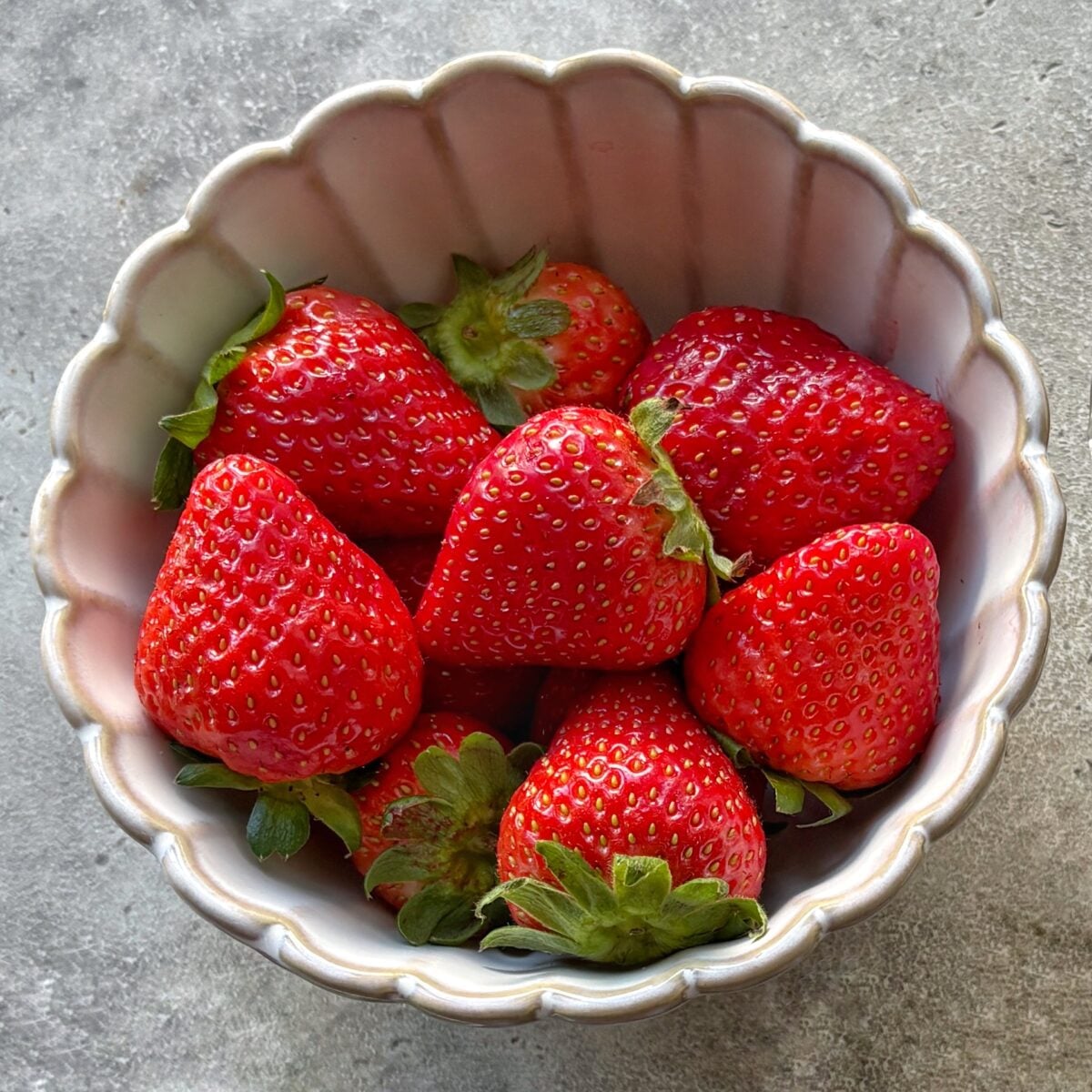A white scalloped bowl filled with fresh, ripe strawberry roses sits on a gray stone surface.