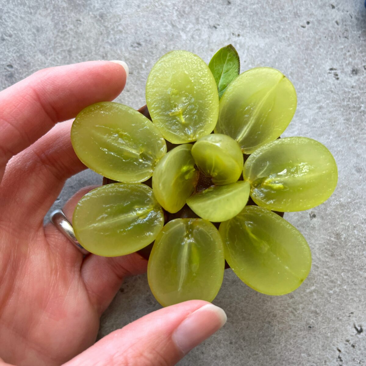 A person holds sliced green grapes arranged in a circular, flower-like pattern on top of dark chocolate with a gray surface background.