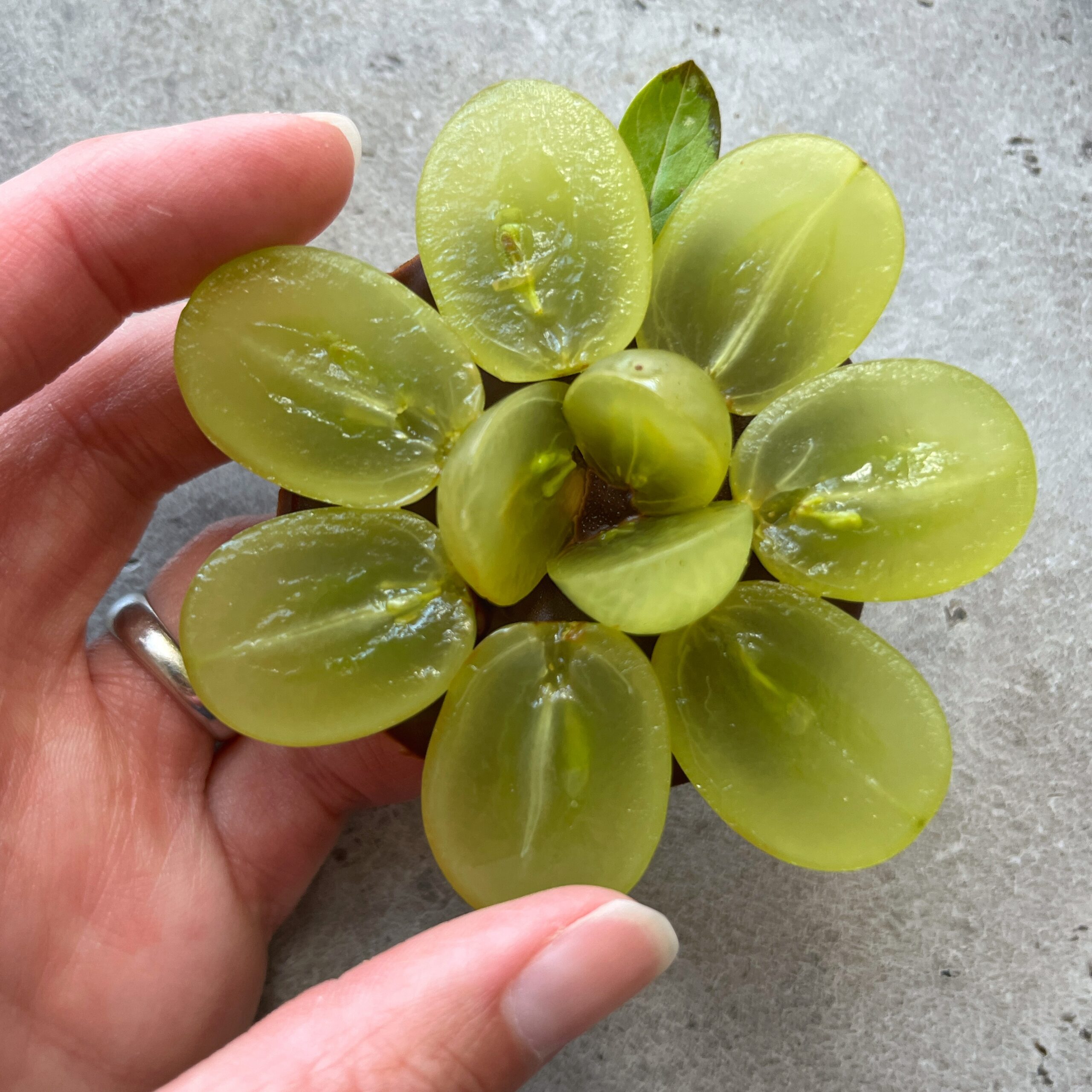 A basil leaf is placed at he top of a dark chocolate disc topped with halved grapes arranged to look like a flower.