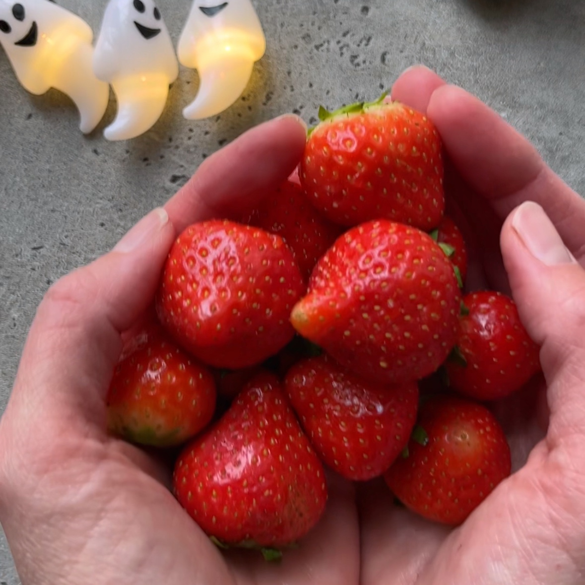 Hands hold a selection of pointy strawberries ready to trim.
