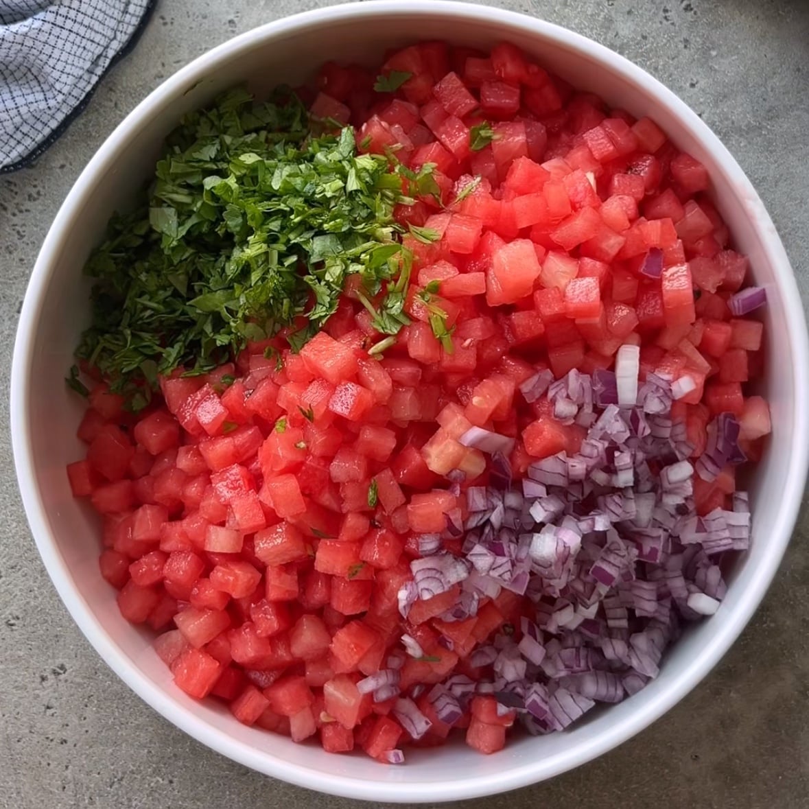 A bowl of refreshing Watermelon Salsa, featuring diced watermelon, chopped cilantro, and diced red onion, sits on a gray countertop.