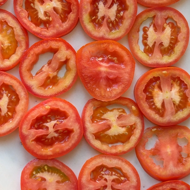 Rows of evenly spaced, thinly sliced tomato rounds are arranged on a white surface.