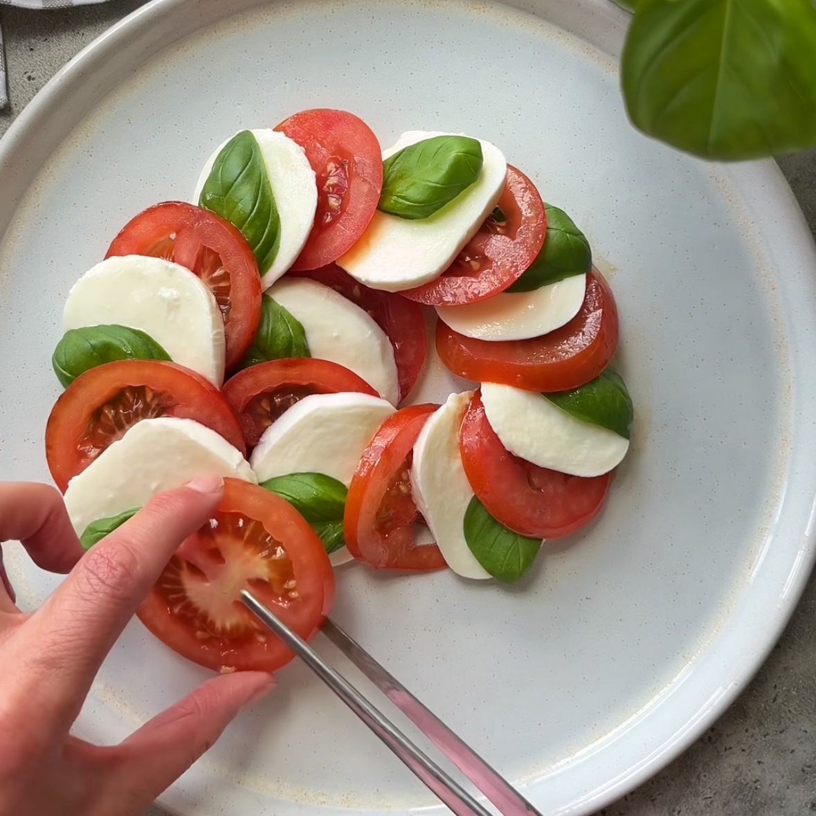 Sliced tomato, mozzarella, and basil are arranged in a circular pattern on a white plate, with a hand using tongs to place a tomato slice.