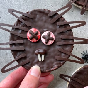 A hand holds a round chocolate-covered treat decorated to look like a cat face, perfect for spooky bites or themed party dishes, with chocolate whiskers, red and white candy eyes, X pupils, chocolate nose, candy fangs, and a small plastic spider nearby.