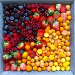 A square tray is filled with an array of colorful berries and fruits, perfect for healthy bites, arranged in a gradient from dark purple and red on the left to orange and yellow on the right. The display inspires fresh food recipes and vibrant dishes.
