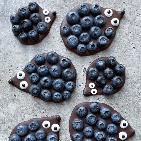 Six chocolate bites resembling hedgehogs are topped with blueberries and candy eyes, arranged on a gray textured surface. Each “hedgehog” features a pointed nose and clusters of blueberries as “spines”—a fun idea for health-focused food recipes.