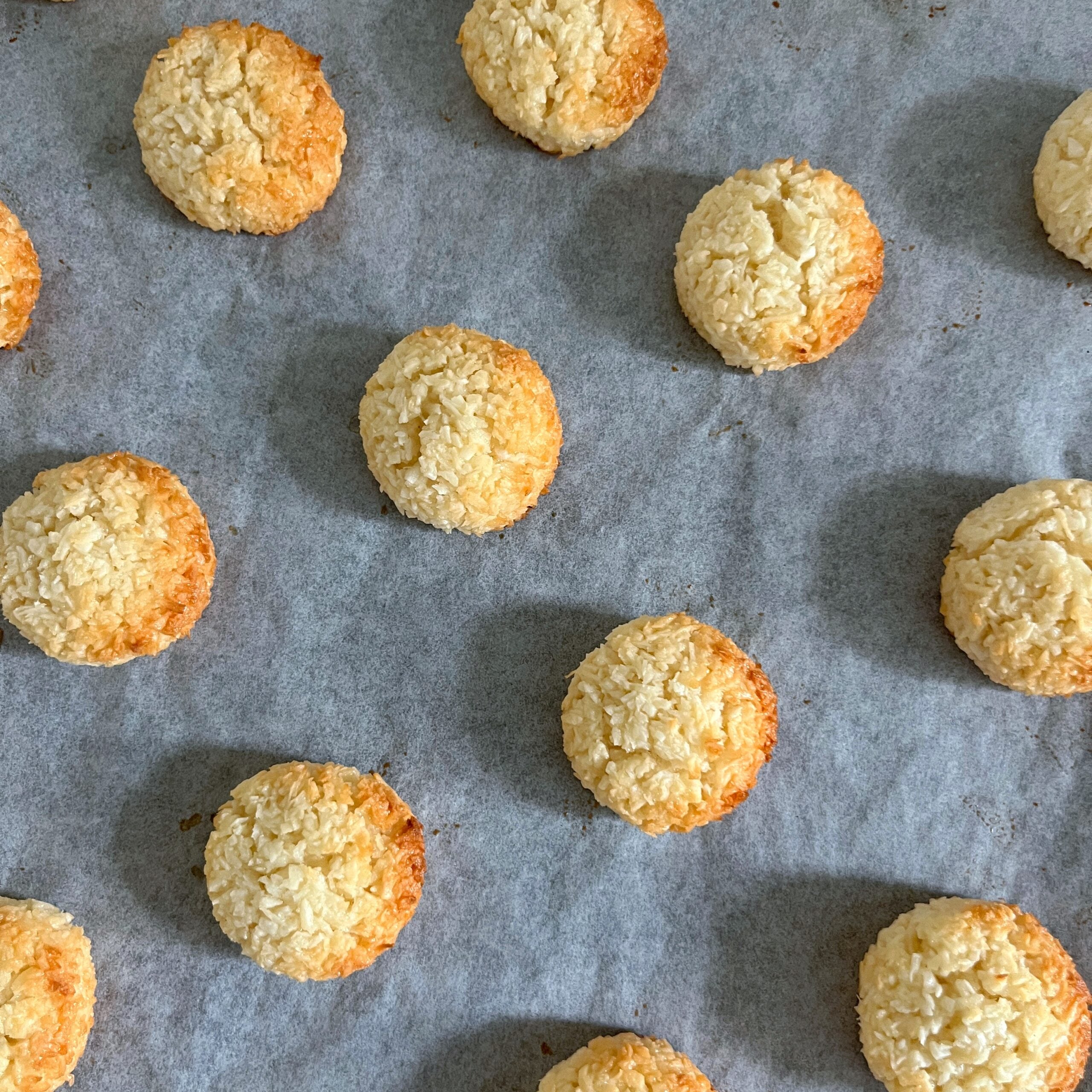 Rows of round, golden-brown coconut cookies arranged neatly on a parchment-lined baking sheet.