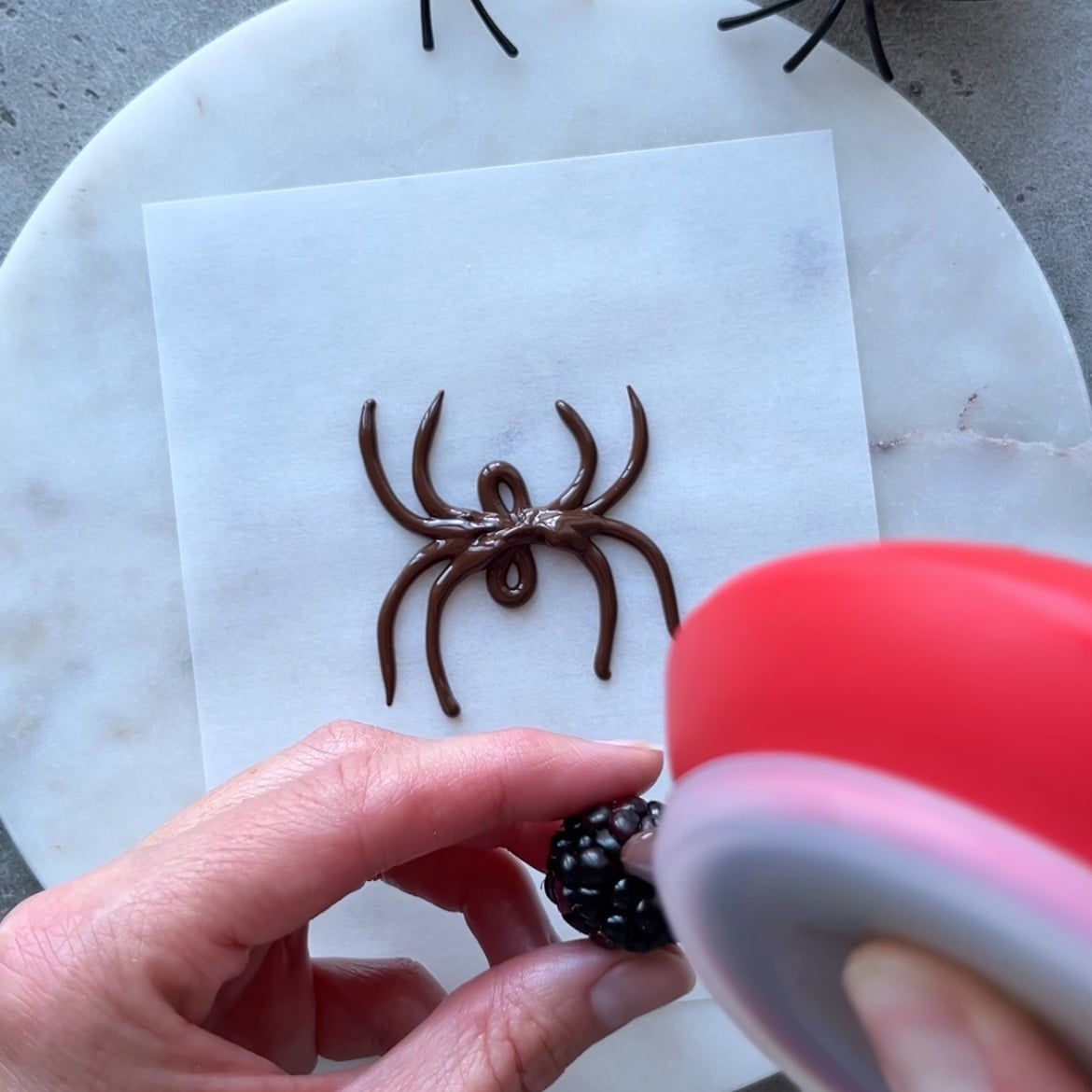 A hand pipes chocolate onto a blackberry above a sheet of parchment featuring delicious Chocolate Spiders.