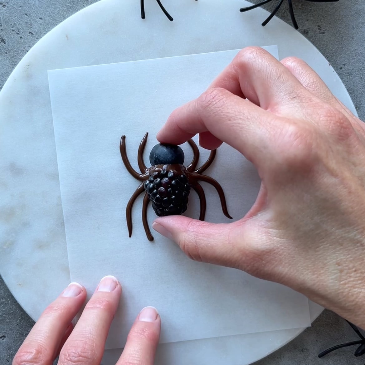 A hand places a blackberry and a blueberry onto a chocolate spider piped on parchment paper.