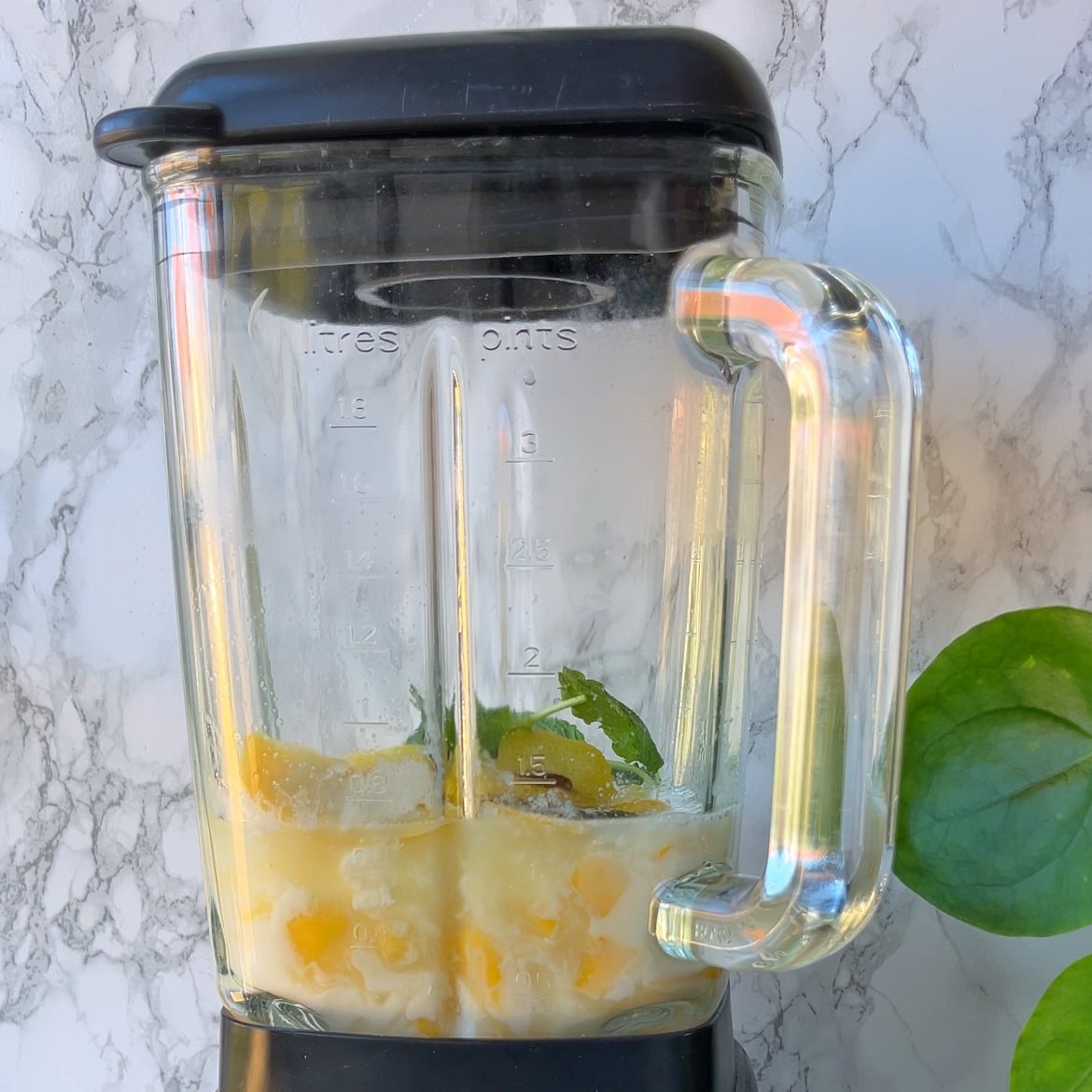 A blender jar holds chunks of fruit, ice, and green leaves ready for a refreshing lemon smoothie.