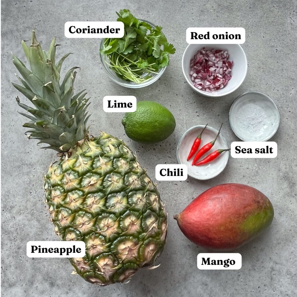Pineapple, mango, lime, three red chilies, coriander leaves, chopped red onion, and sea salt are neatly arranged in labeled bowls on a gray surface.