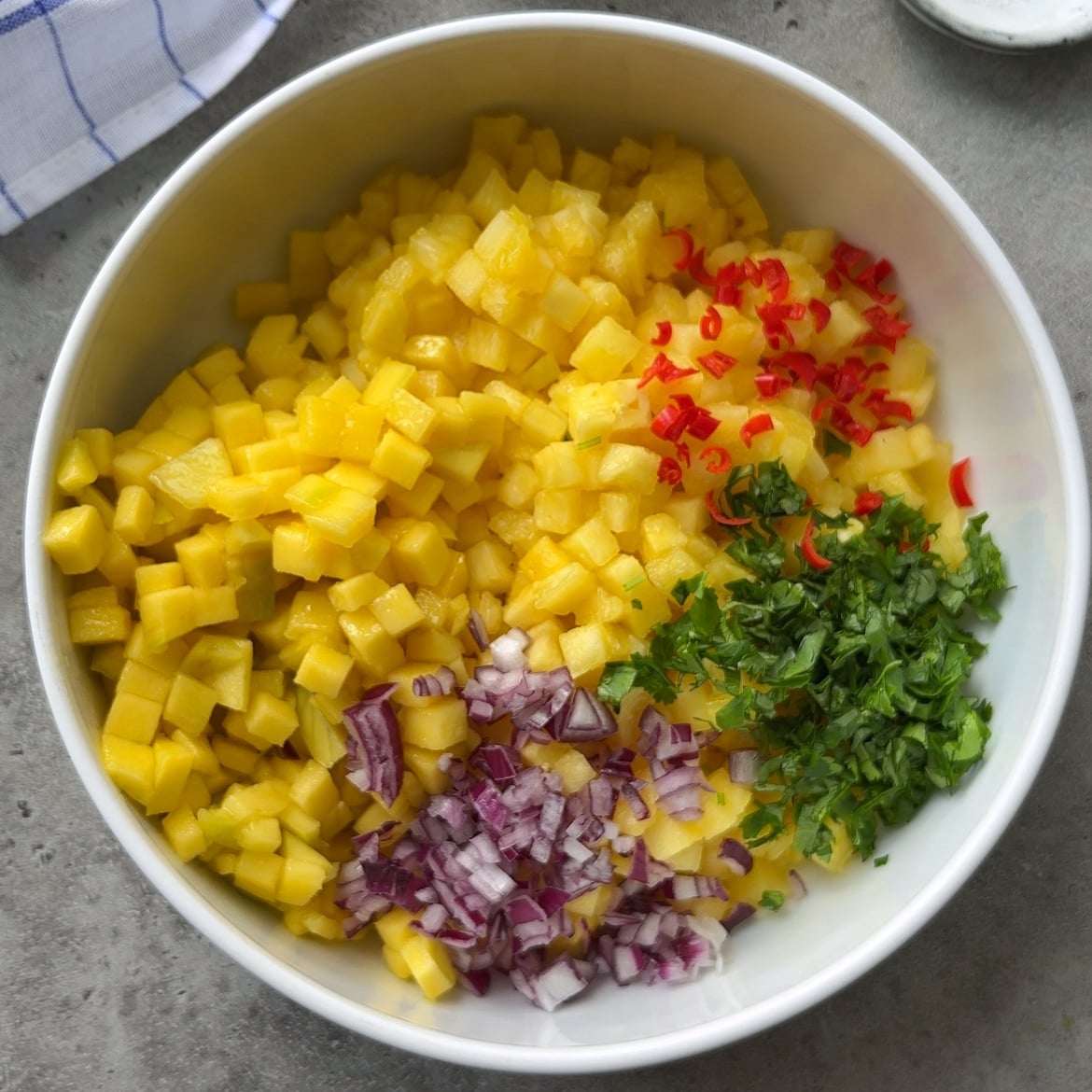 A bowl with diced mango and pineapple, chopped red onion, cilantro, red chili, and coriander arranged in separate sections.