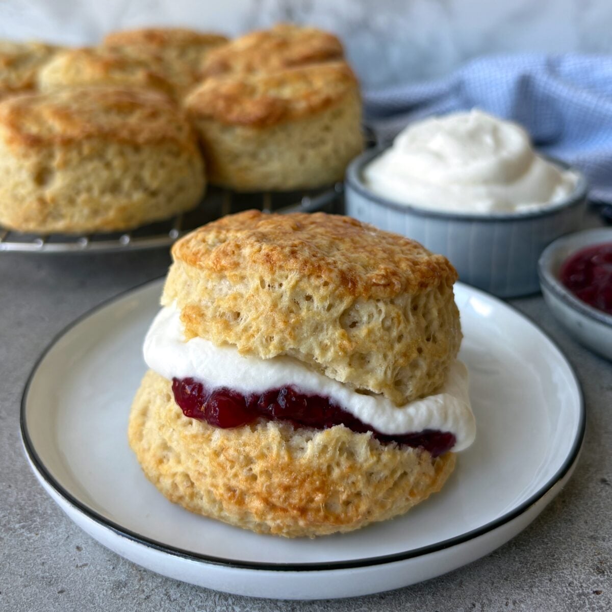 A closeup of a buttermilk scone topped with whipped cream and jam. In the background are more scones resting on a baking rack.